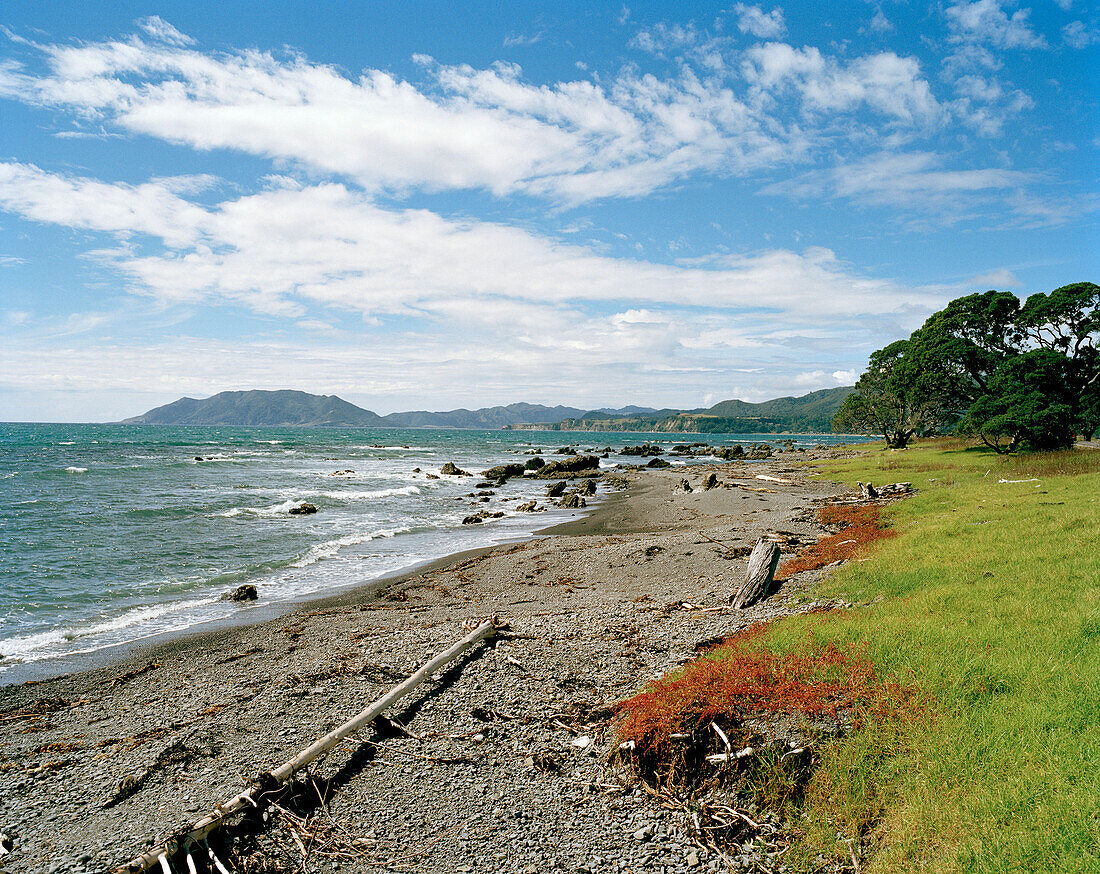 Menschenleerer Strand unter Wolkenhimmel, Waihau Bay, Nordküste, Eastcape, Nordinsel, Neuseeland