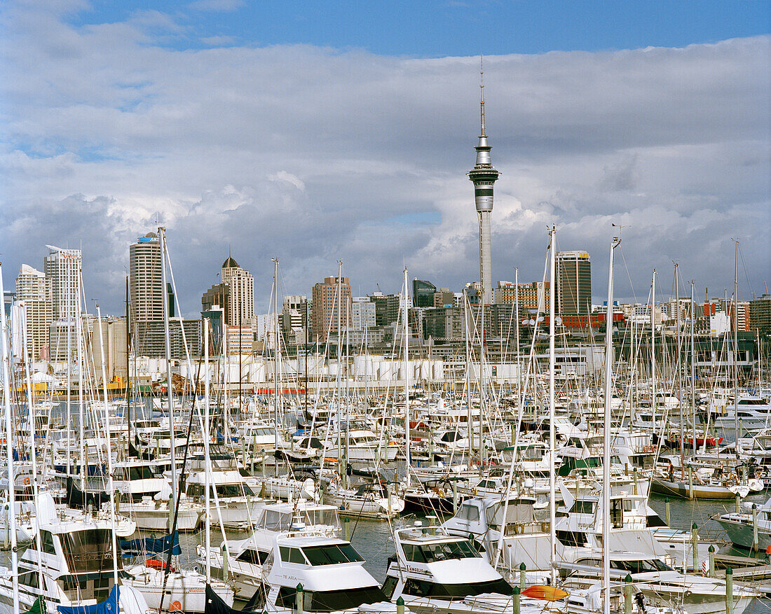 Viele Jachten im Westhaven Jachthafen unter Wolkenhimmel, Waitemata Harbour, Auckland, Nordinsel, Neuseeland