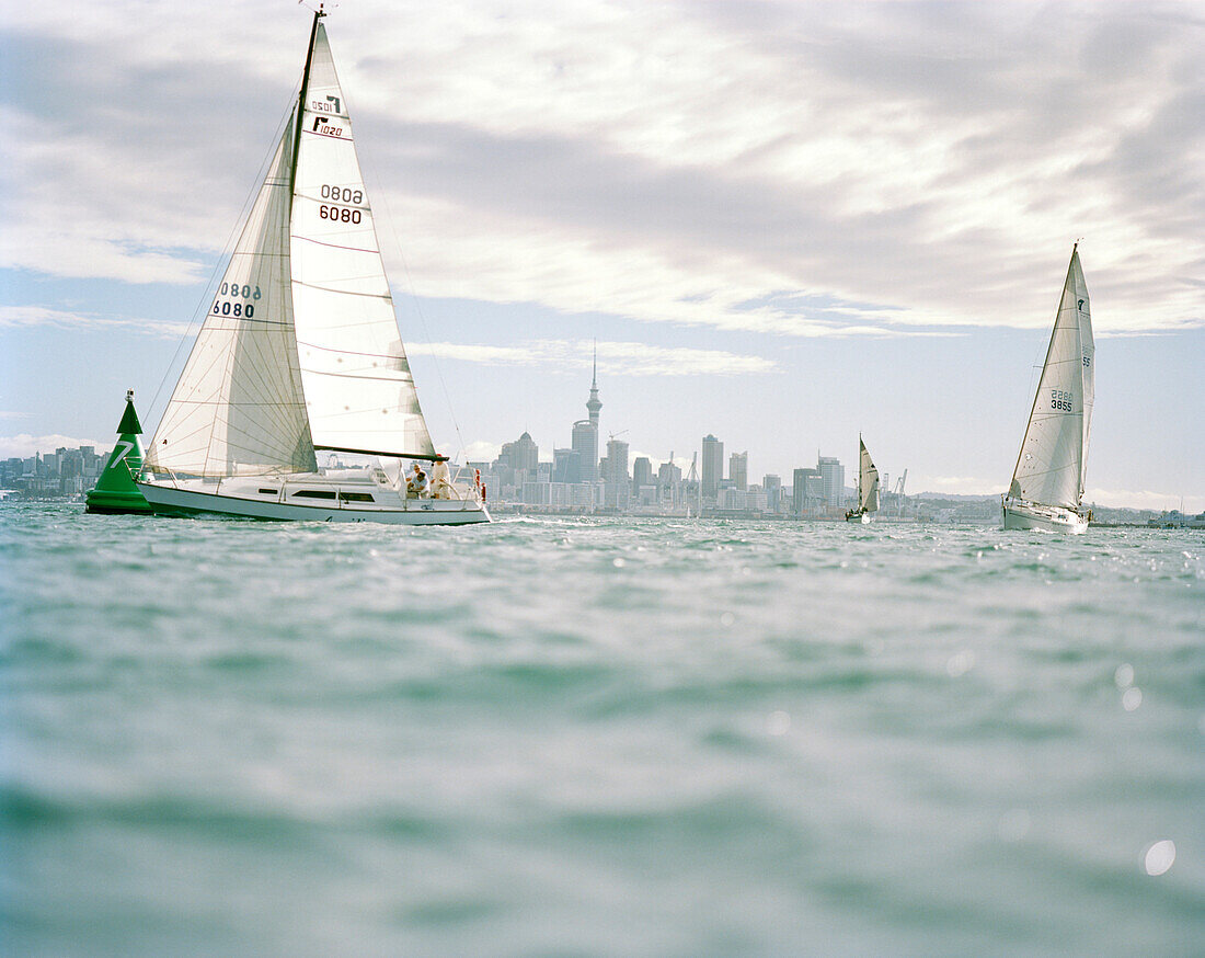 Sailing boats under clouded skin front of Waitemata Harbour, Auckland, North Island, New Zealand