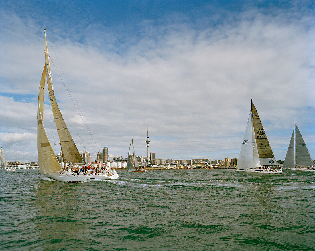 Segelboote bei voller Fahrt vor Waitemata Harbour, Auckland, Nordinsel, Neuseeland