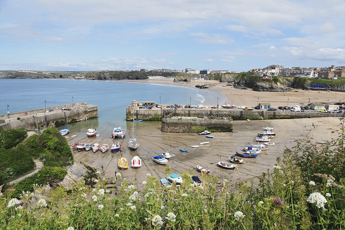 View over harbour and beach, Newquay, Cornwall, England, United Kingdom