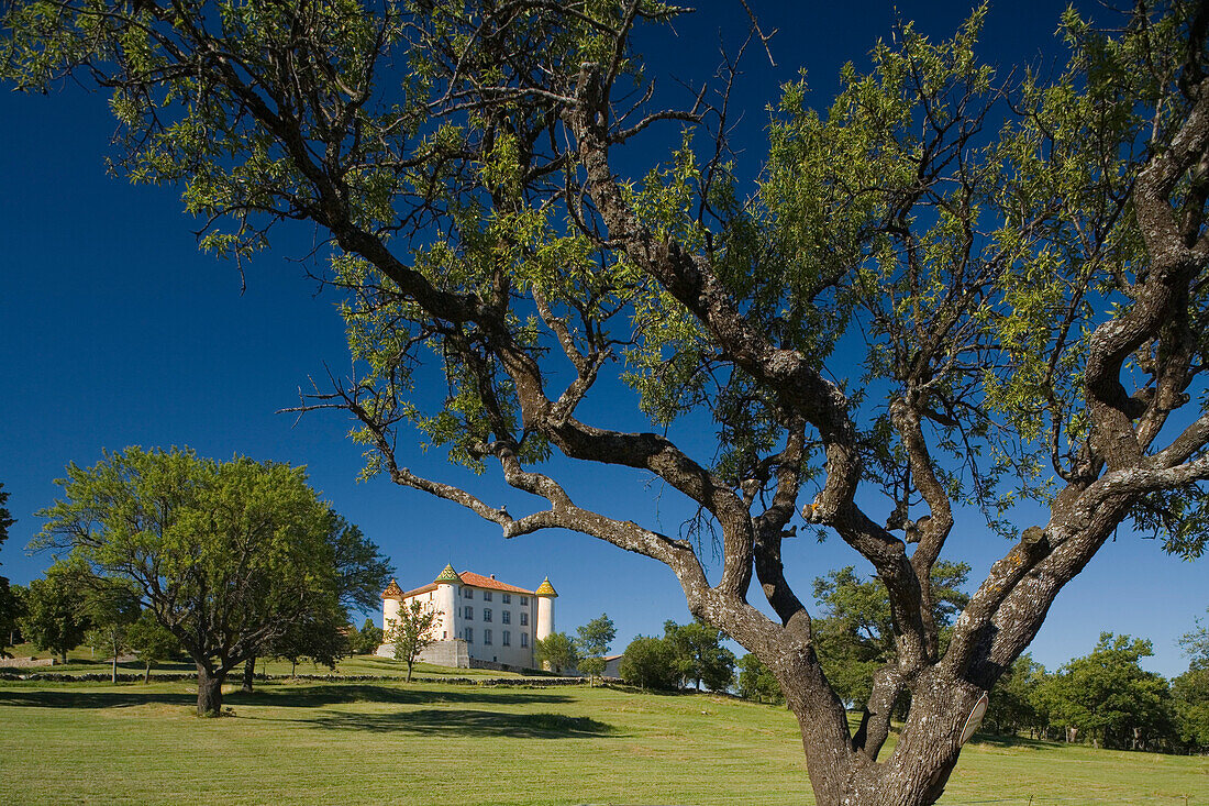 Blick auf ein Schloss in einem weitläufigen Park, Var, Provence, Frankreich