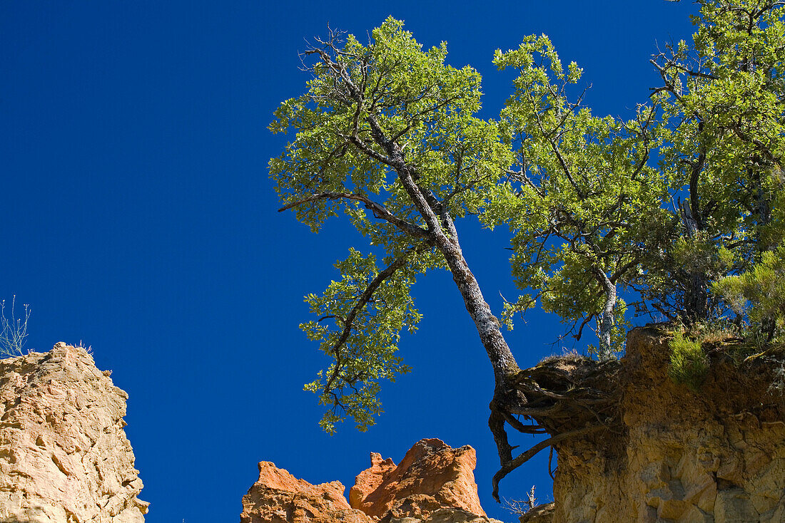 Colorado Provencal, rocks of ochre under a blue sky, Rustrel, Vaucluse, Provence, France