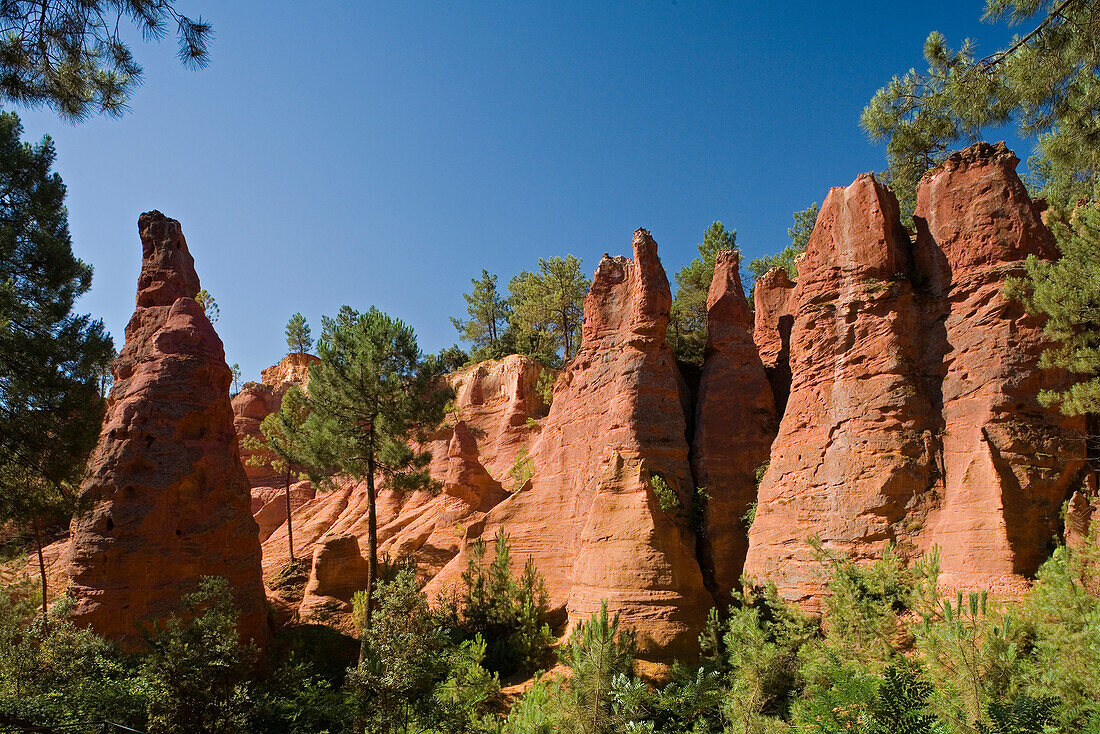 Ochre quarry in the sunlight, Roussillon, Vaucluse, Provence, France