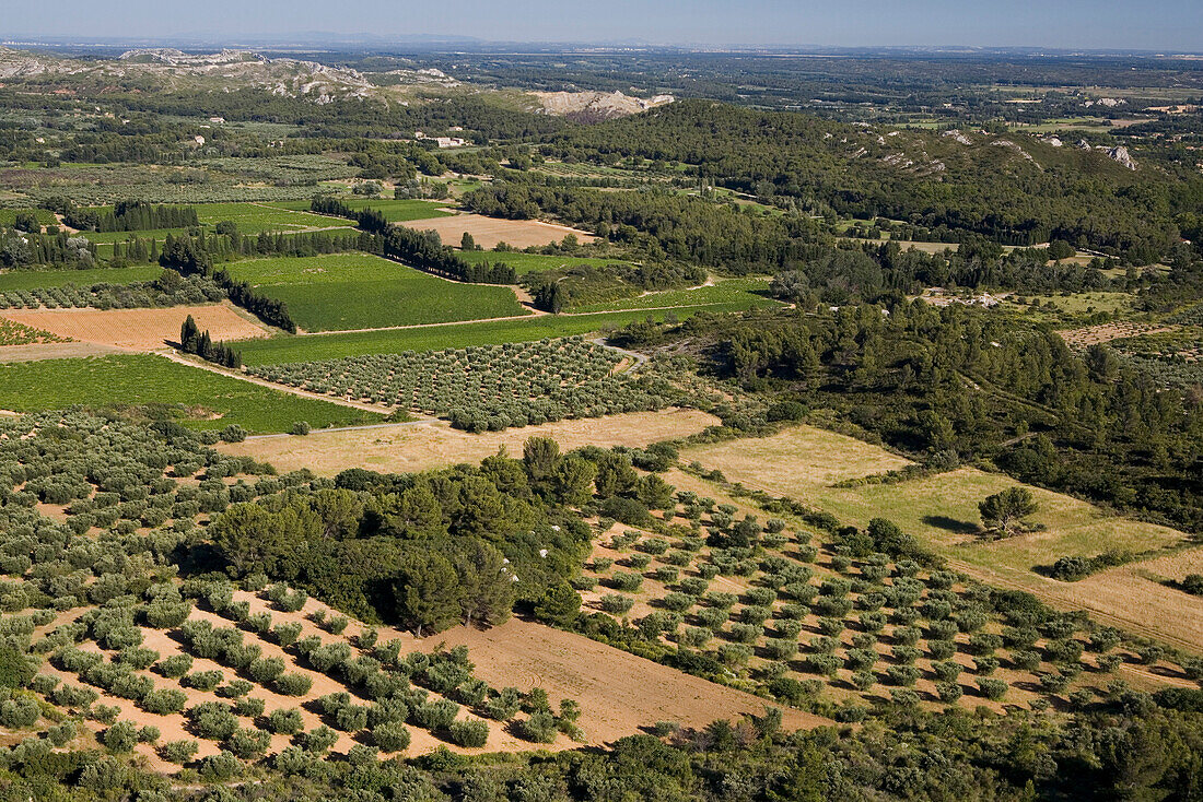 Blick auf eine Ebene mit Feldern und Olivenbäumen, Vaucluse, Provence, Frankreich
