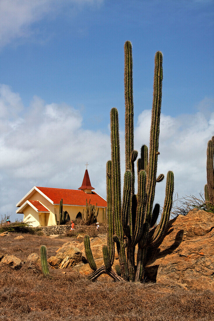 Niederländische Antillen, Aruba, Karibik, Jeep Tour zur Alto Vista Kapelle im Outback