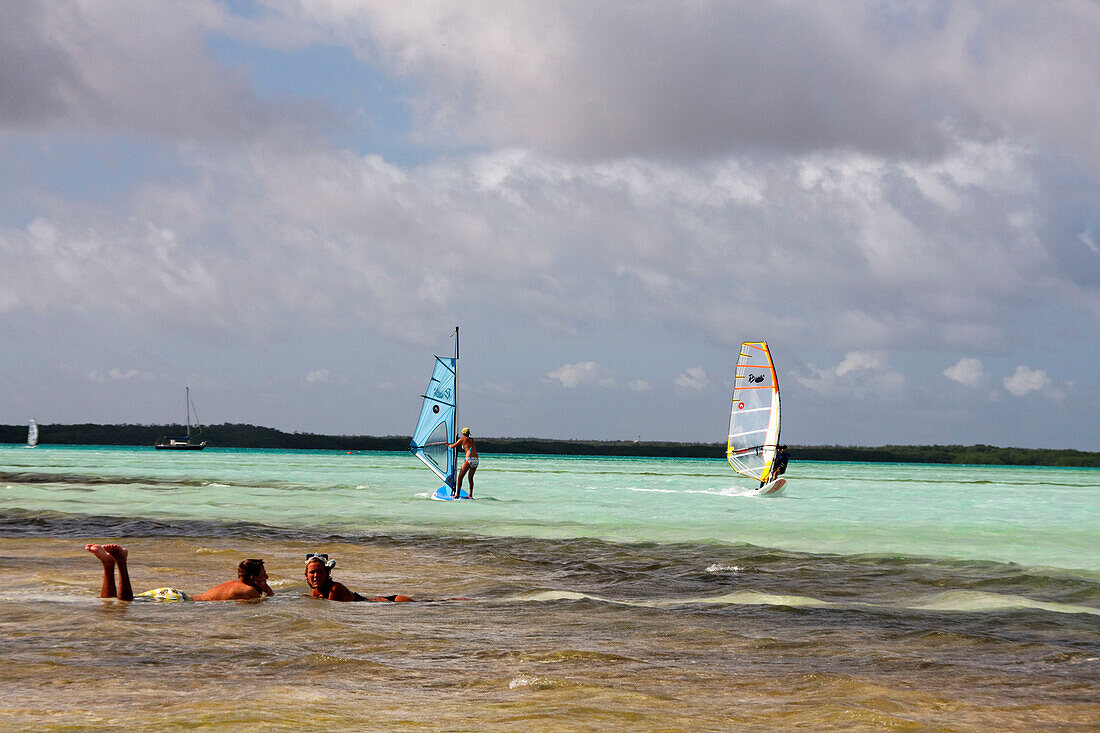 West Indies, Bonaire, Lac Bay Surfer