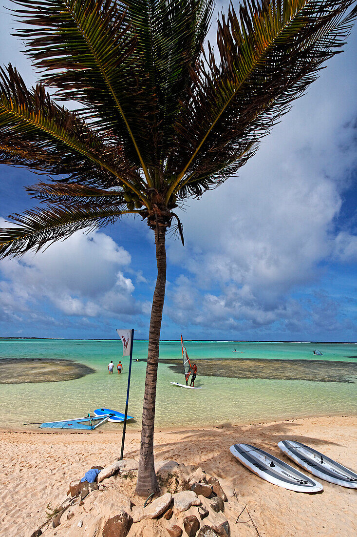 Karibik, Niederländische Antillen, Bonaire, Lac Bay Surfer