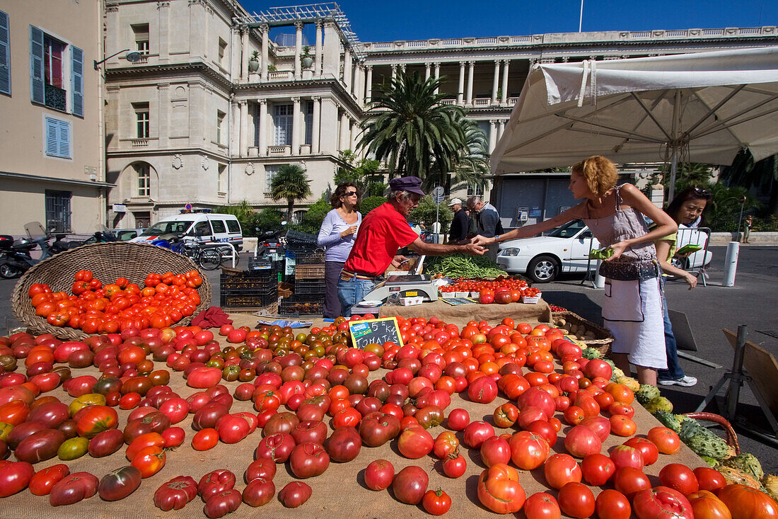 France, Nice, Cours de Saleya, market stall with bio tomatoes