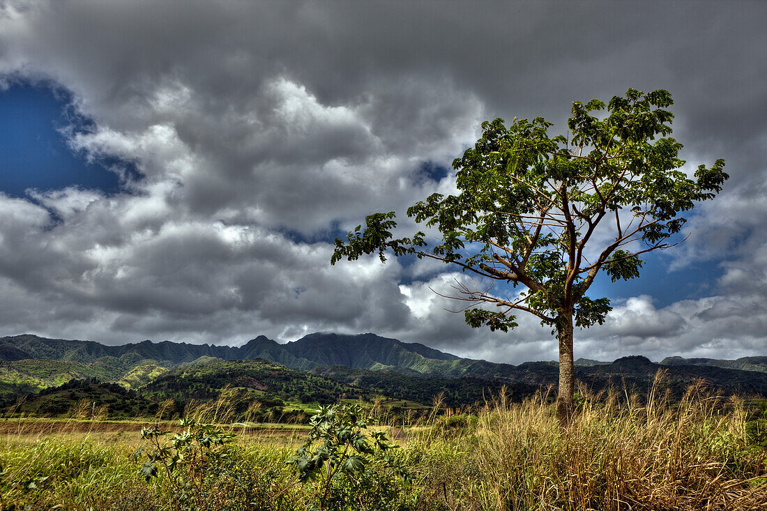 Landscape near Haleiwa, Oahu, Pacific Ocean, Hawaii, USA