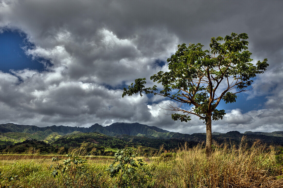 Landschaft bei Haleiwa, Oahu, Pazifik, Hawaii, USA