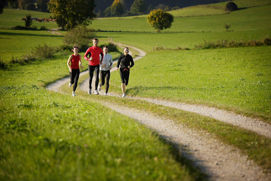 Vier Läufer joggen über Feldweg, Münsing, Bayern, Deutschland