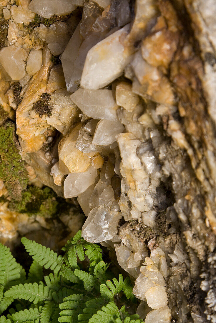 Bergkristalle in einer Kluft, Baldschiedertal, Berner, Alpen, Kanton Wallis, Schweiz