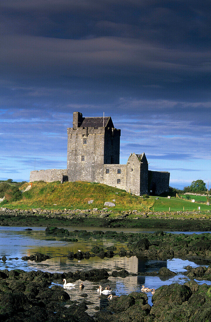 Europe, Great Britain, Ireland, Co. Galway, Kinvarra, Dunguaire Castle