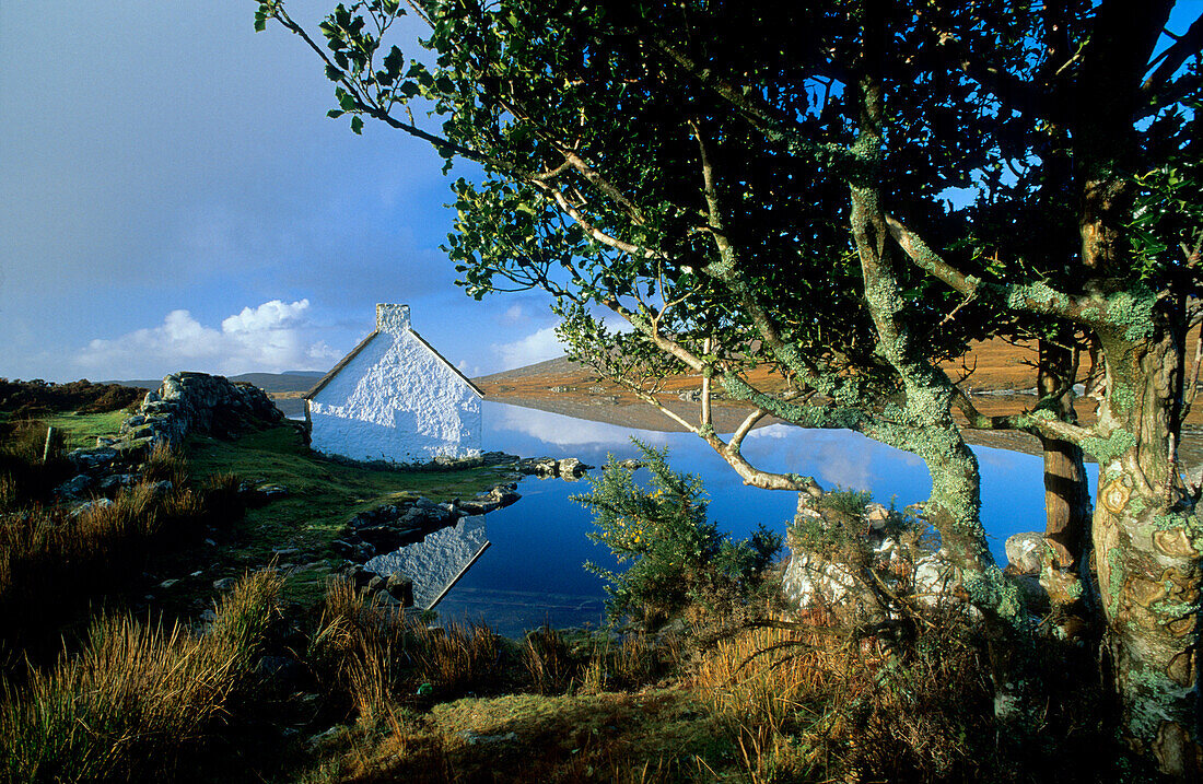 Europe, Great Britain, Ireland, Co. Galway, Connemara, cottage at the coast near Casla