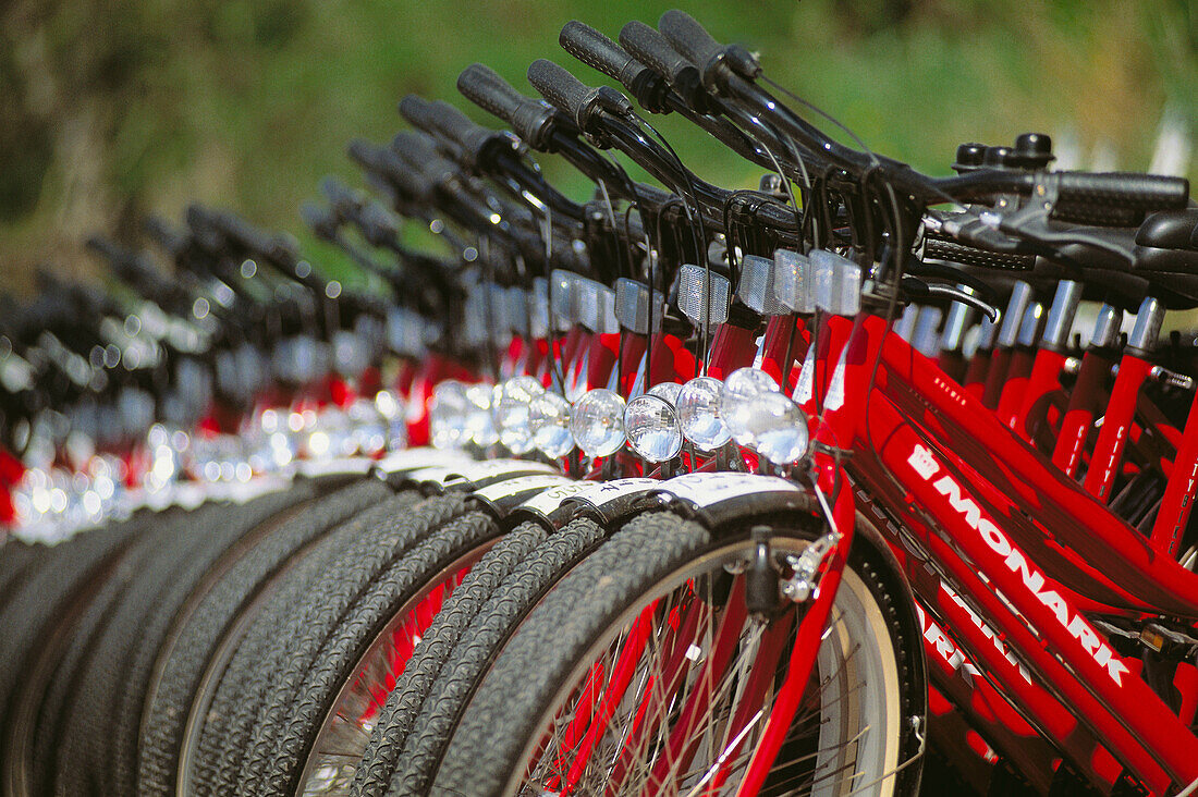 Bicycle rental, Gotland island. Sweden