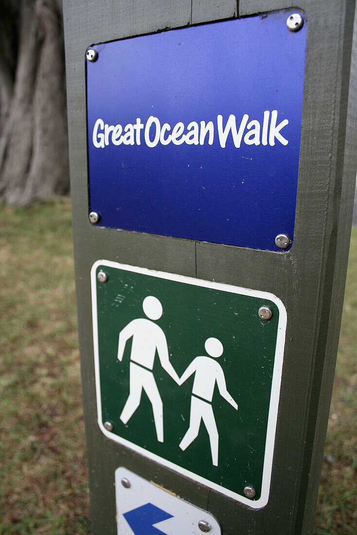 Hiking path: Great Ocean Walk, Apollo Bay, Great Ocean Road, Victoria, Australia