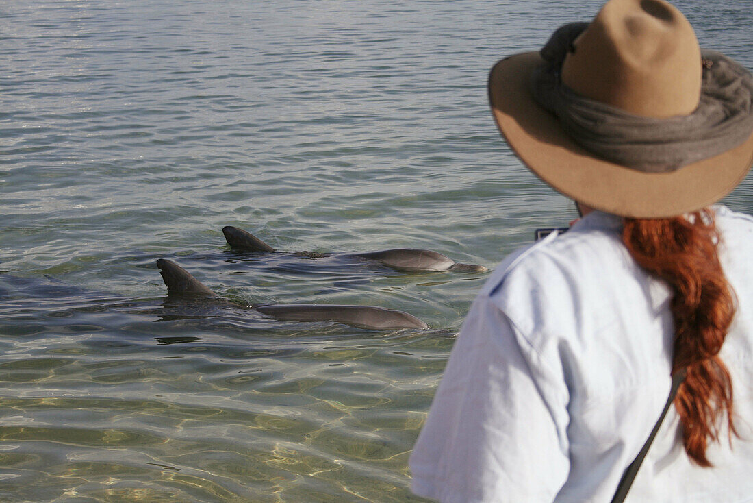 Tourist standing in water and taking pictures of dolphins, Monkey Mia Dolphin Lodge, Western Australia