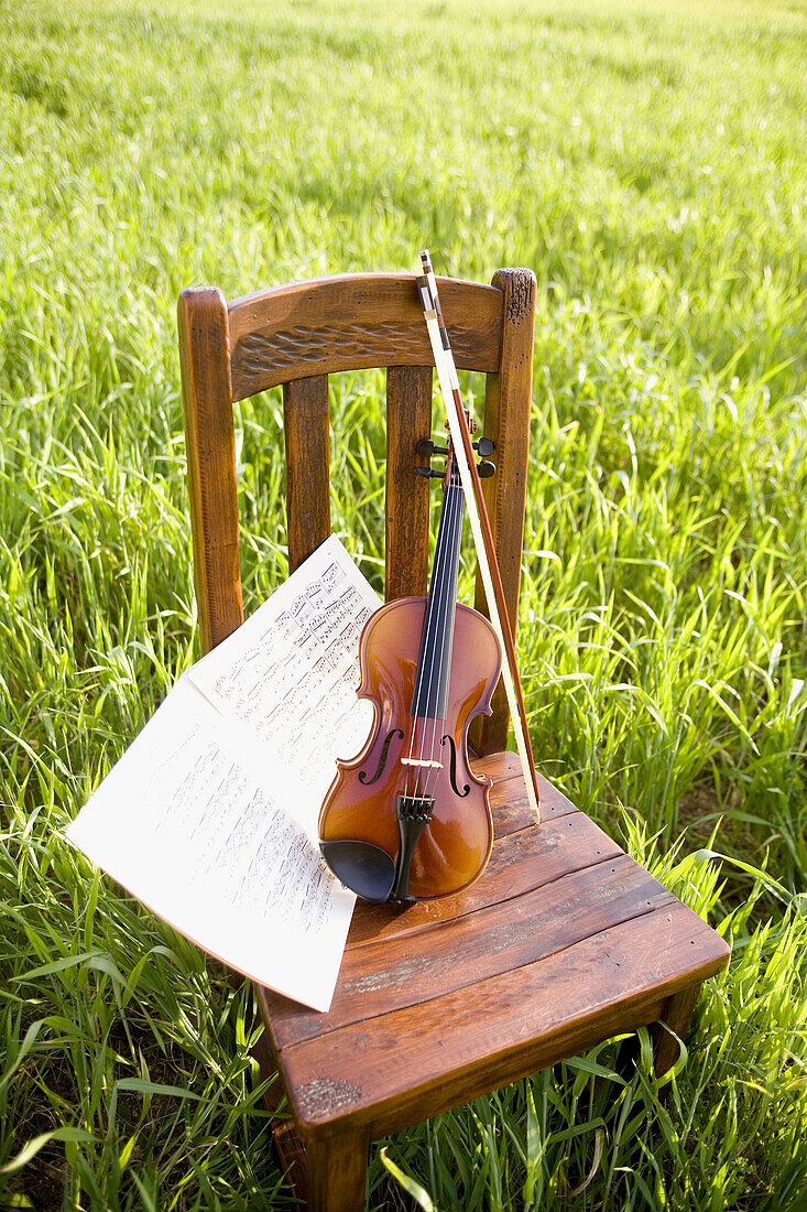 Absence, Absent, Art, Arts, Bow, Bows, Chair, Chairs, Color, Colour, Concept, Concepts, Country, Countryside, Daytime, Excellence, Exterior, Fiddle, Fiddles, Grass, Grasses, Music, Musical instrument, Musical instruments, Outdoor, Outdoors, Outside, Score