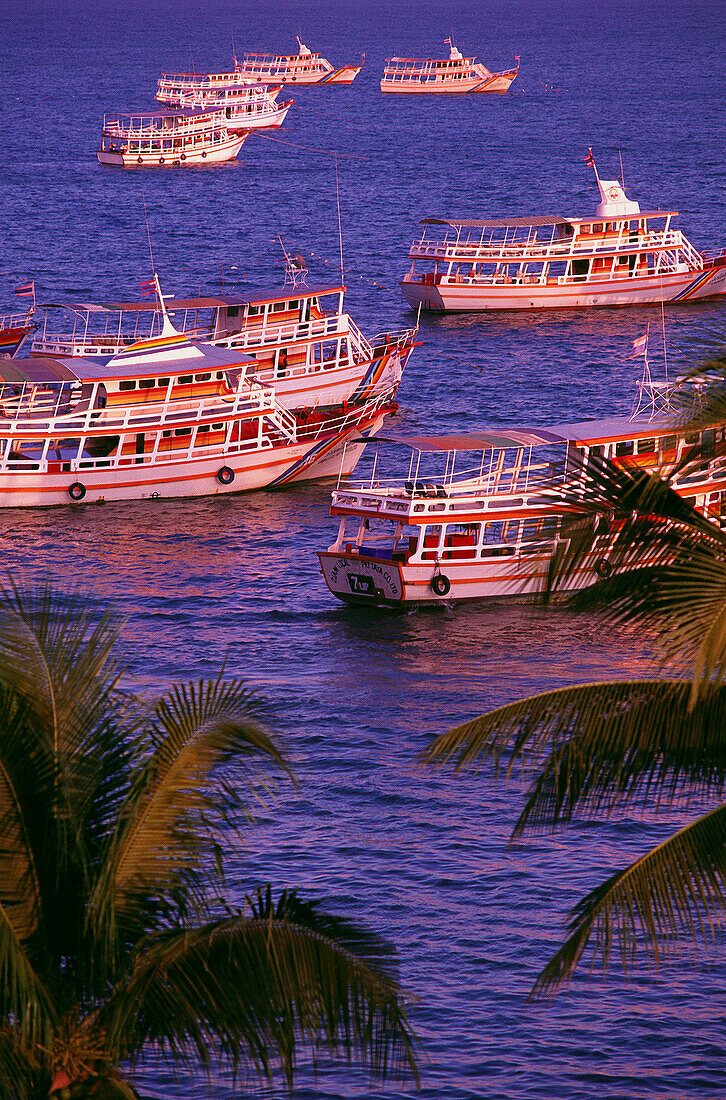 Tour boats, Pattaya. Thailand