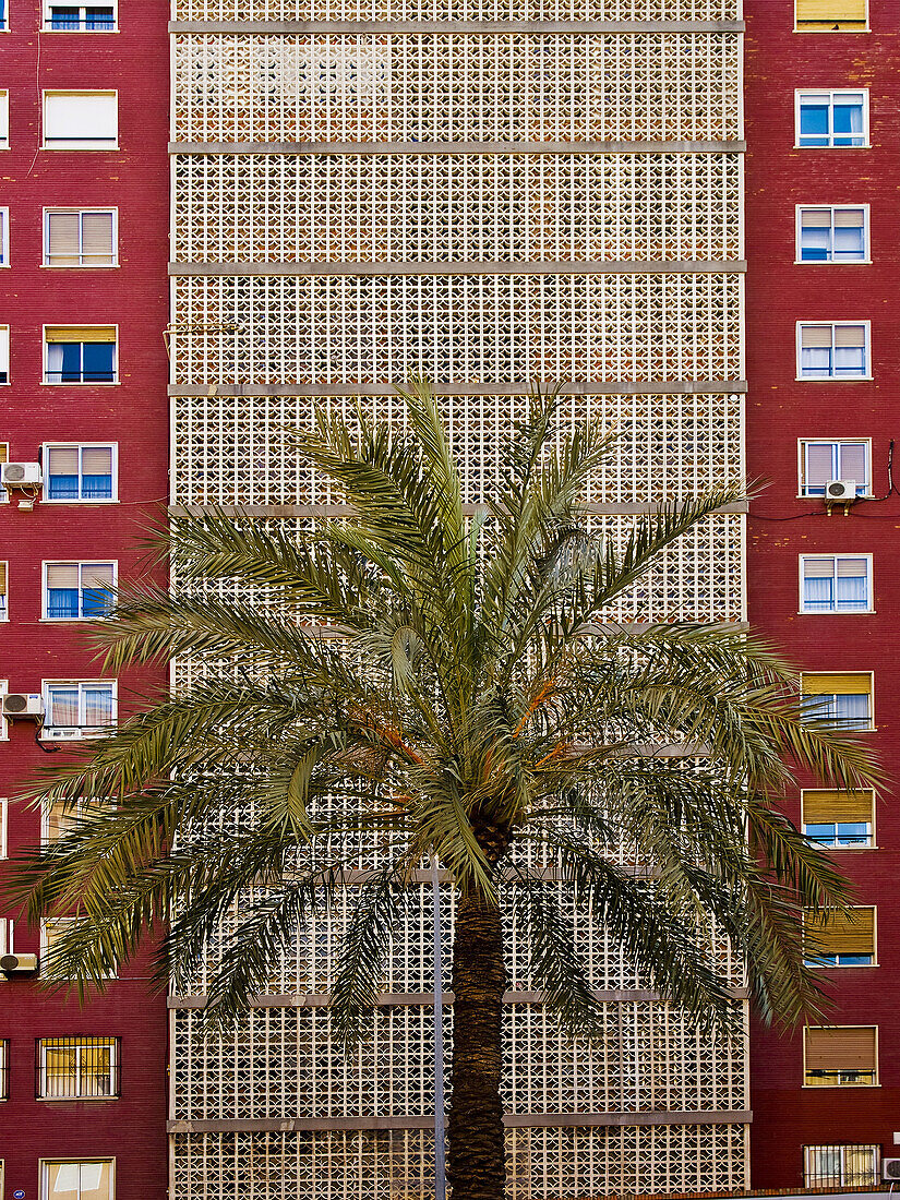 Apartment, Apartments, Architecture, Block, Blocks, Building, Buildings, cities, city, Color, Colour, Daytime, exterior, Flat, Flats, Height, outdoor, outdoors, outside, Palm, Palm tree, Palm trees, Palms, Scale, Symmetrical, Symmetry, Tall, D56-703860, a
