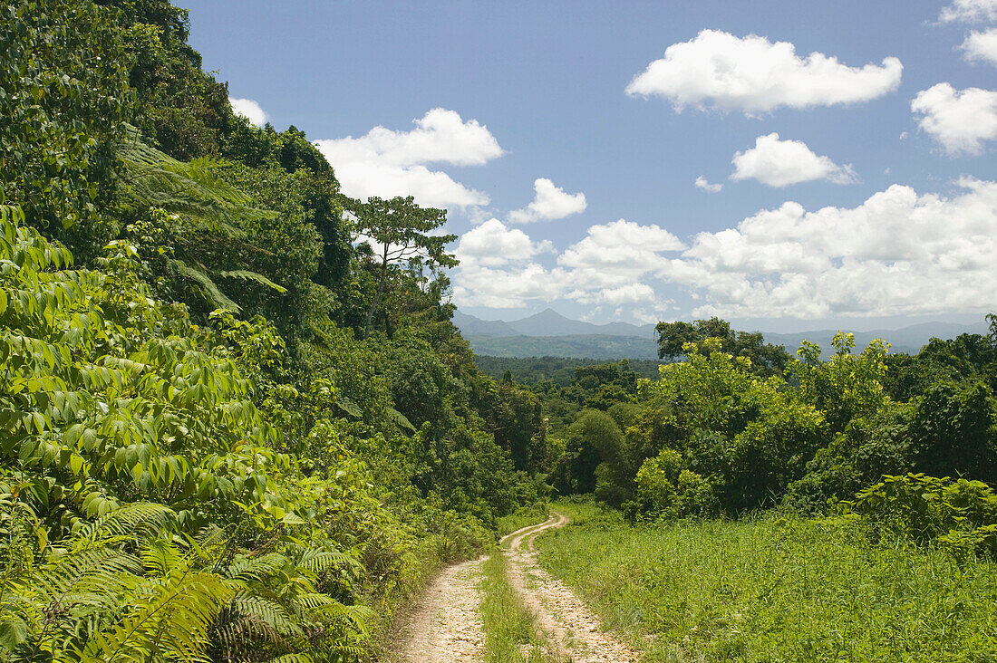 Vanuatu. Espiritu Santo Island. Big Bay Highway to Malao.