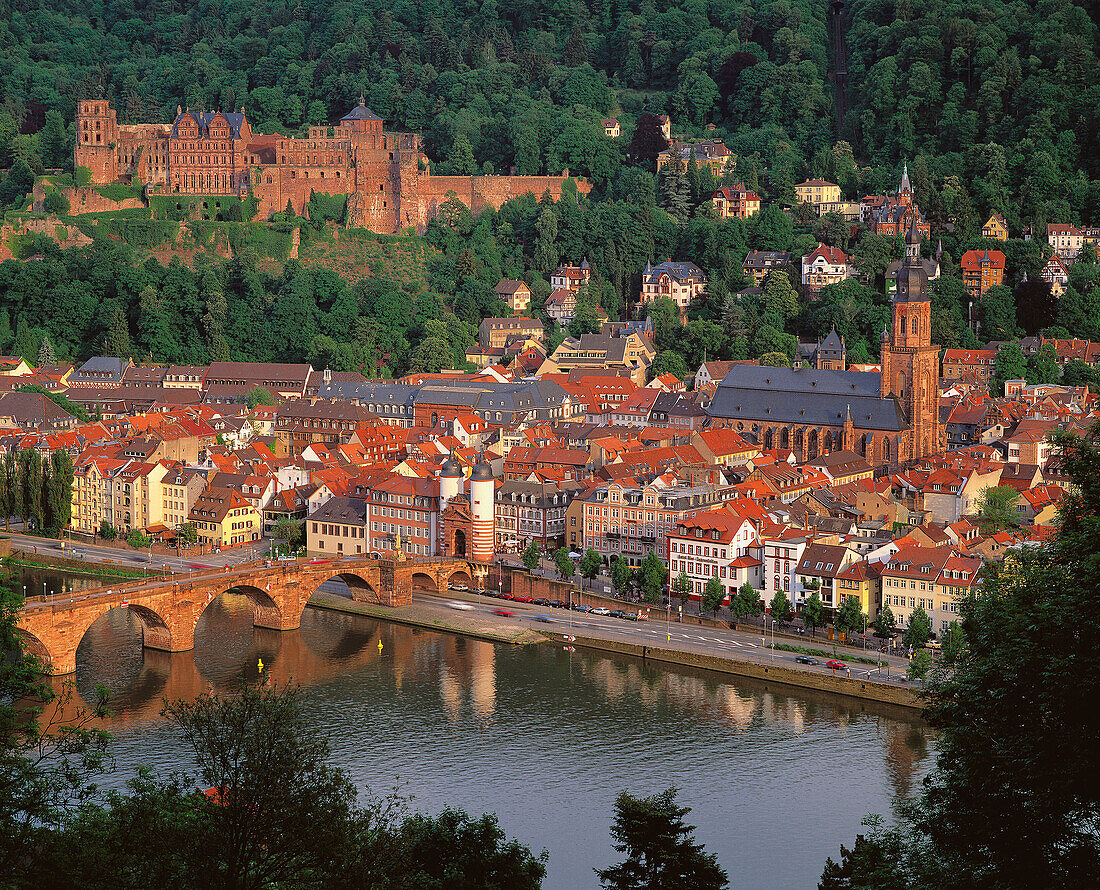 Heidelberg, view from Philosophenweg (Philosopher's Walk). Baden-Württemberg, Germany