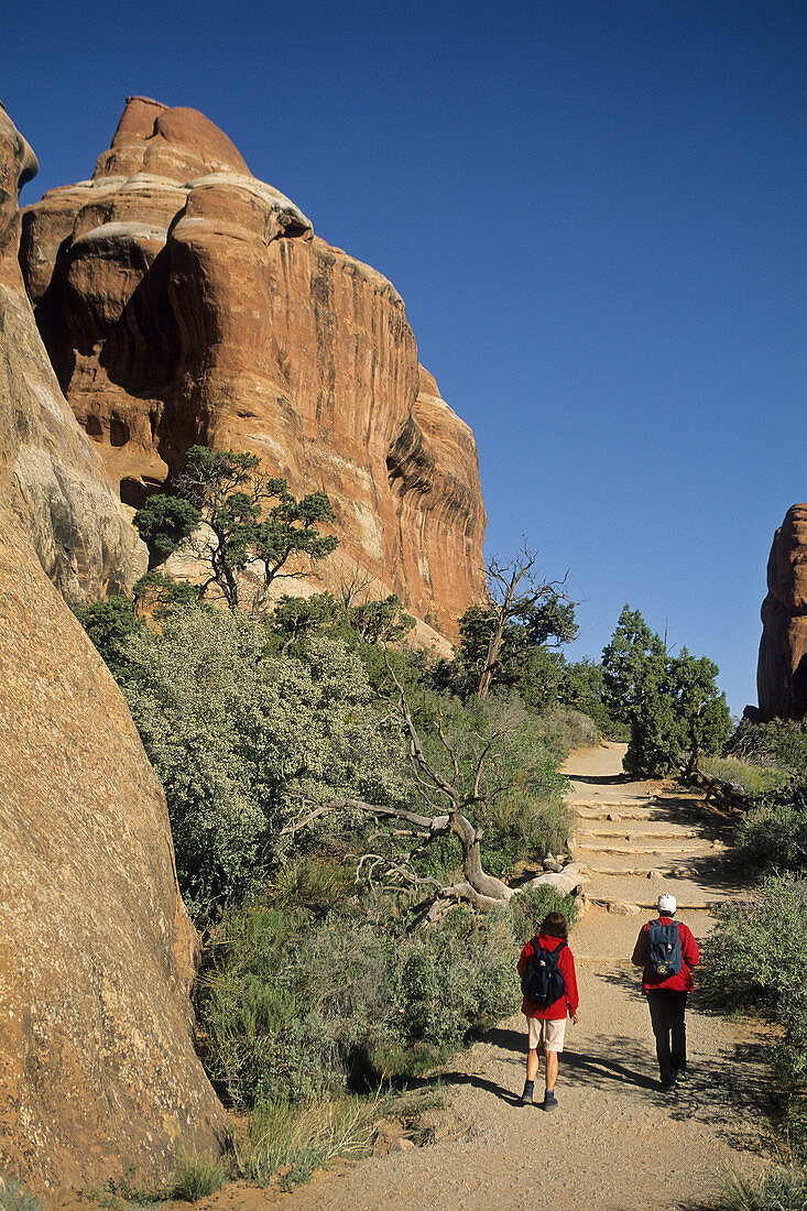 Hikers on the Devils Garden Trail Arches National Park, Utah, USA