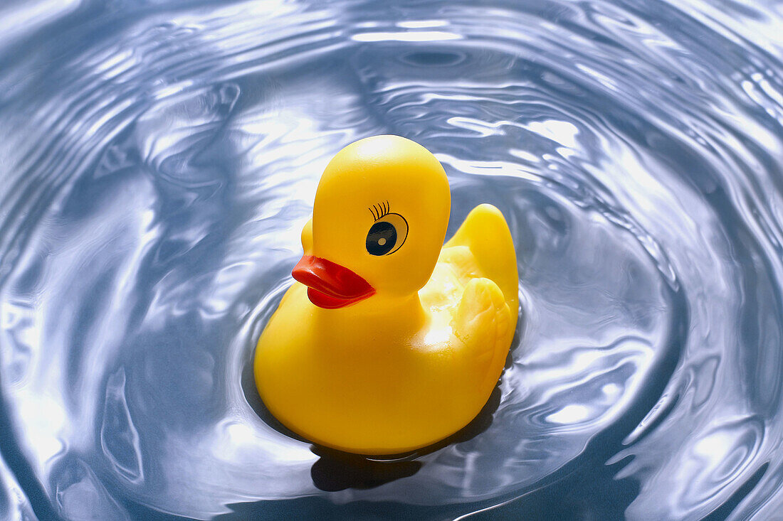 Bath, Bathing, Baths, Childhood, Close up, Close-up, Closeup, Color, Colour, Concept, Concepts, Detail, Details, Duck, Ducks, Float, Floating, Game, Games, Infancy, Mood, Object, Objects, One, One item, Play, Plays, Positive, Positive feeling, Positive fe