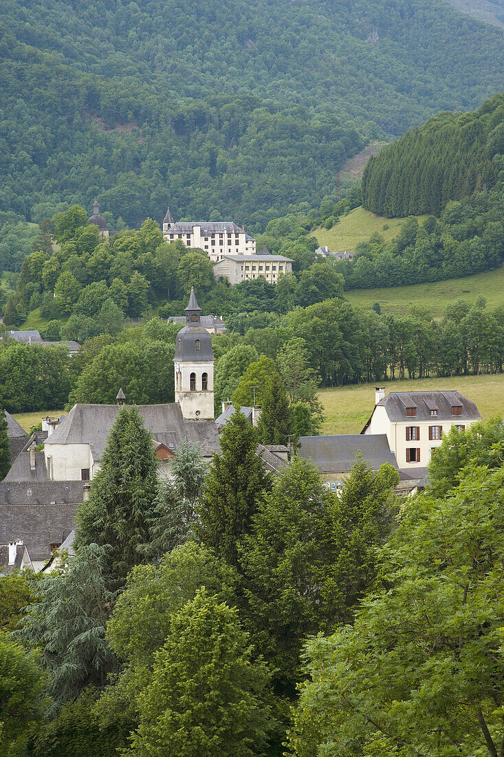 Arrens-Marsous valley. French Pyrénées. France.