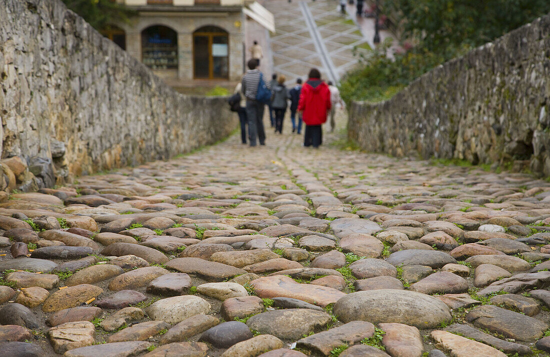 Medieval bridge on the Sella river. Paved road. Cangas de Onís. Picos de Europa. Asturias. Spain.