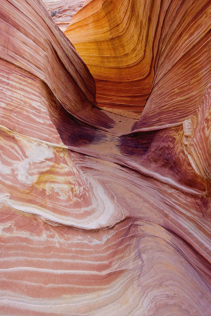 The Wave, Grand Staircase-Escalante National Monument. Utah, USA