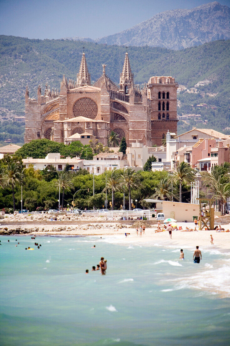 Palma de Mallorca. Mallorca, Balearische Inseln. Spanien