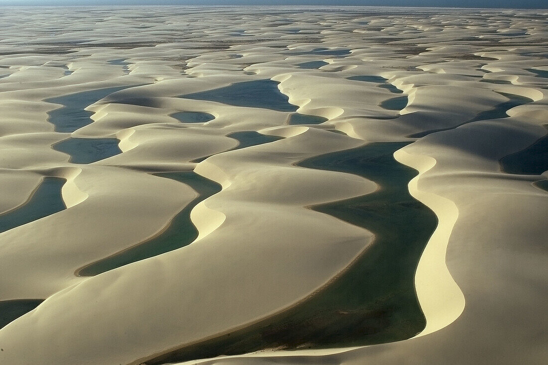 Aerial image of rain ponds in between sand dunes, Lencois Maranhenses, Maranhao, Brazil