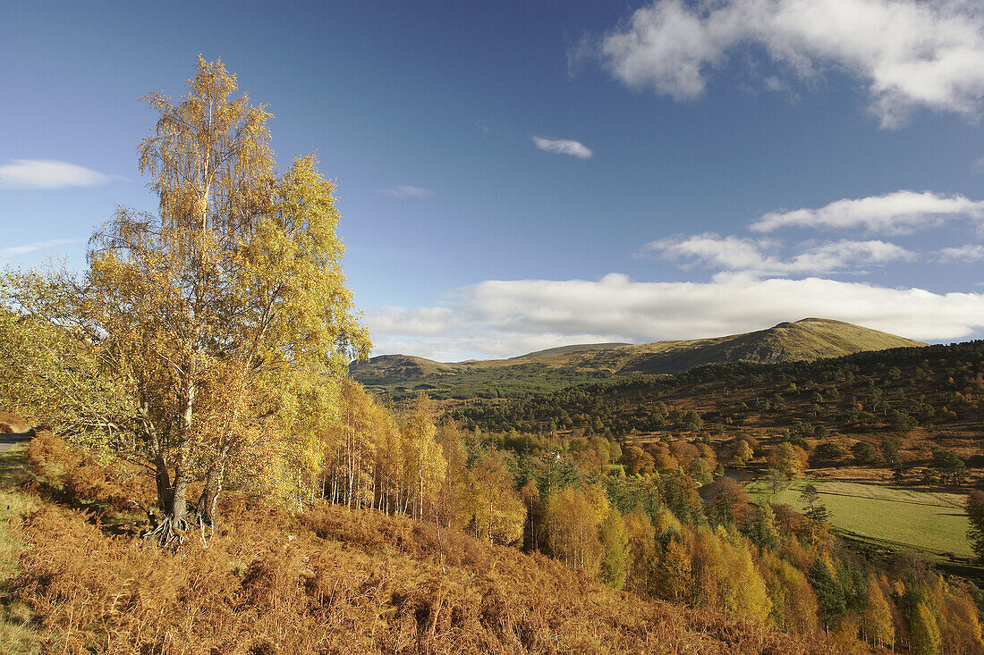 Glen Lyon in autumn  Perthshire  Scotland  UK  November 2006