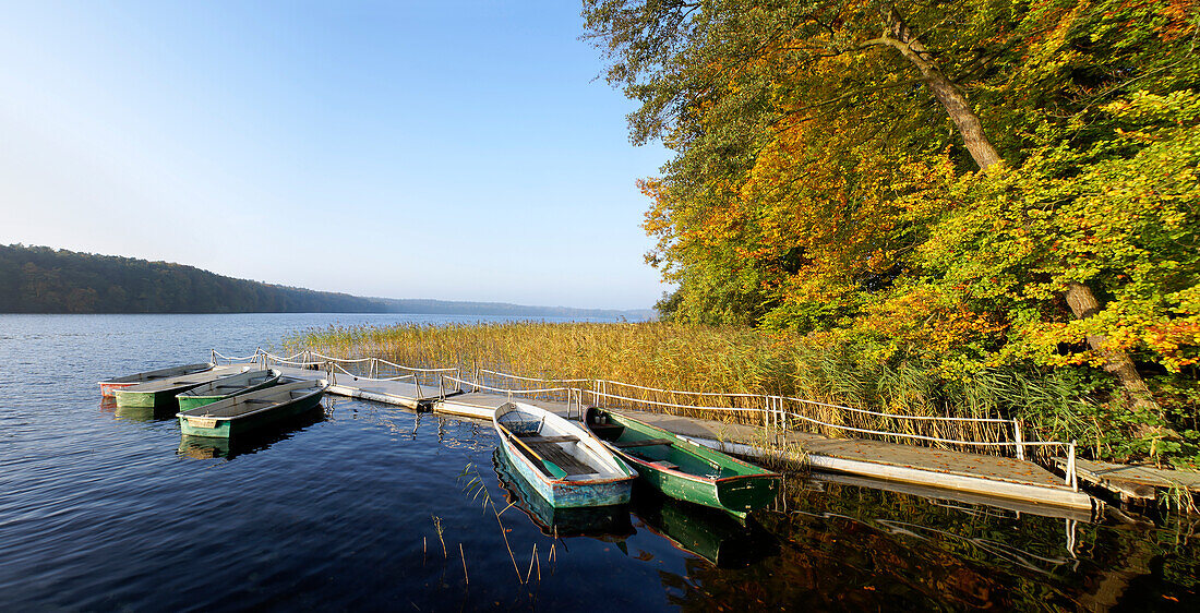 Lake Stechlinsee near Neuglobsow, Brandenburg (state), Germany