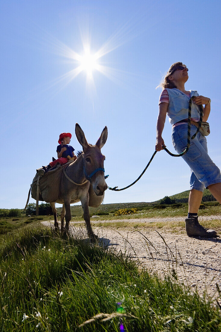 A donkey on a lead, Mother and daughter family-hiking with a donkey in the Cevennes mountains, France