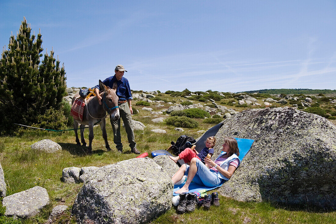 A rest during a family-hiking with a donkey in the Cevennes mountains, France