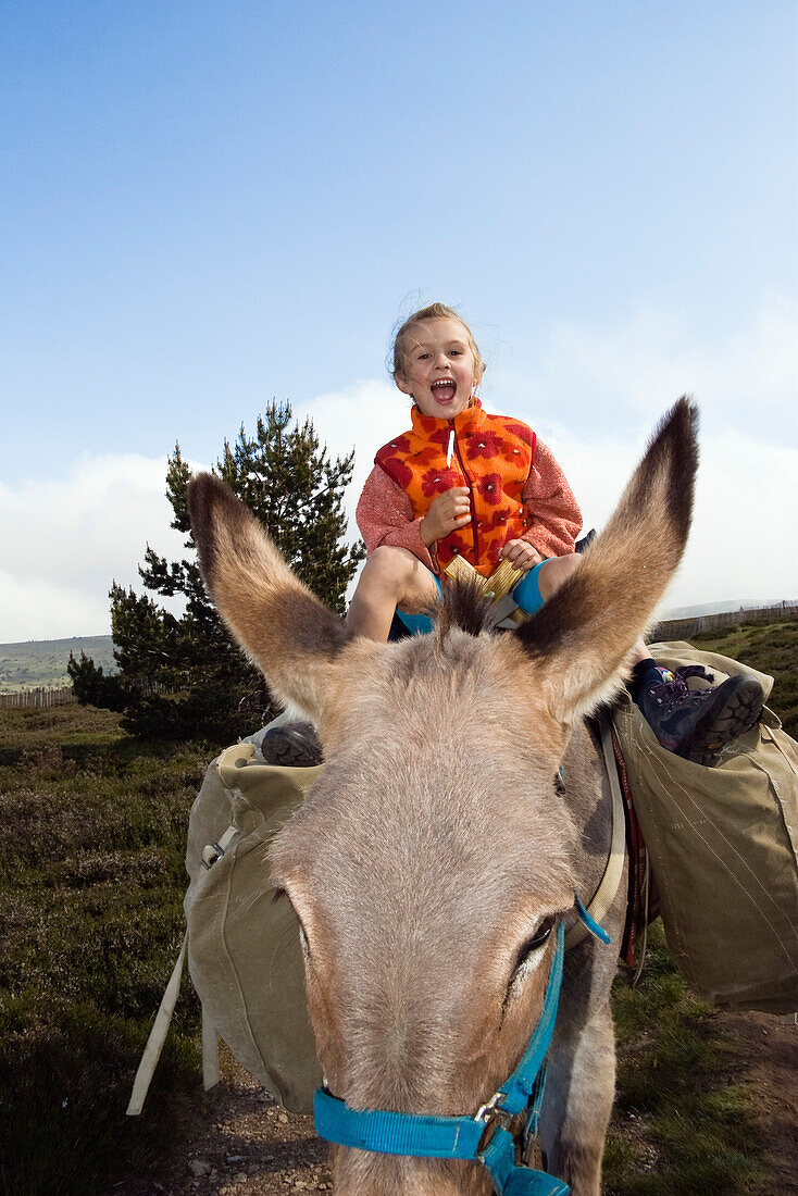 Girl is riding in good mood on a donkey, donkey-hiking in the Cevennes, France