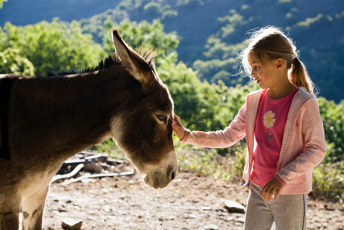 girl is caressing a donkey, family-hiking with a donkey in the Cevennes mountains, France, Europe