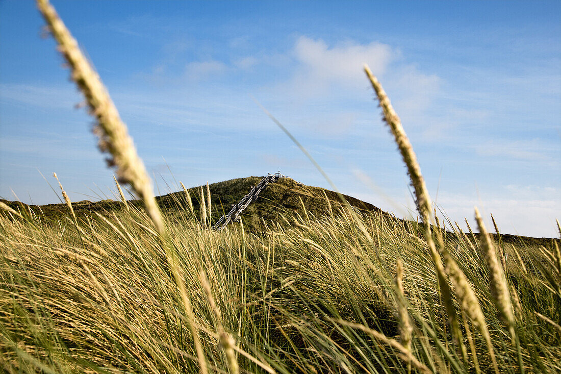 Uwe-Dune, Kampen, Sylt Island, Schleswig-Holstein, Germany