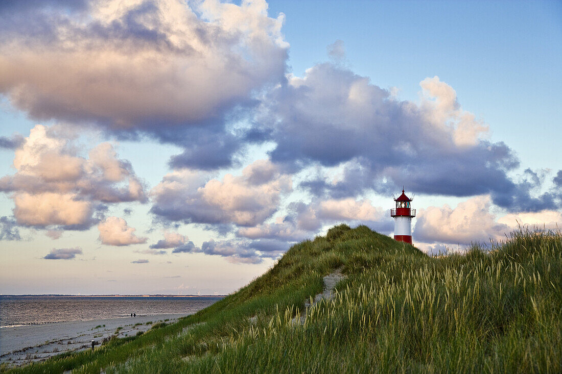 Lighthouse List-East, Ellenbogen, Sylt Island, Schleswig-Holstein, Germany