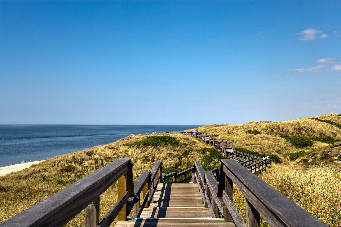 Wooden Staircase over Dunes, Wenningstedt, Sylt Island, North Frisian Islands, Schleswig-Holstein, Germany