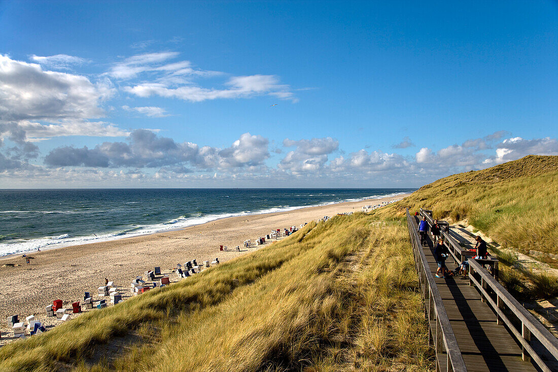 Holzsteg durch die Dünenlandschaft, Strand, Wenningstedt, Nordfriesland, Schleswig-Holstein, Deutschland