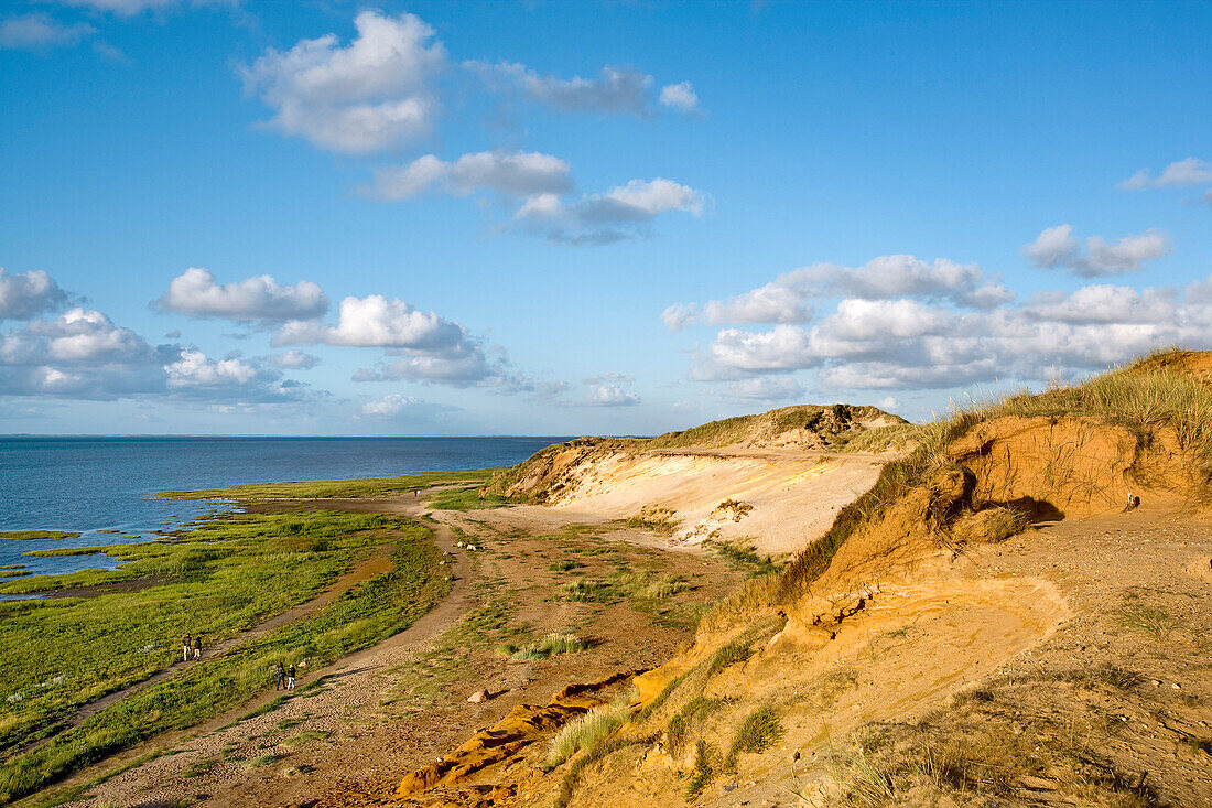 Morsum Cliff, Sylt Island, North Frisian Islands, Schleswig-Holstein, Germany