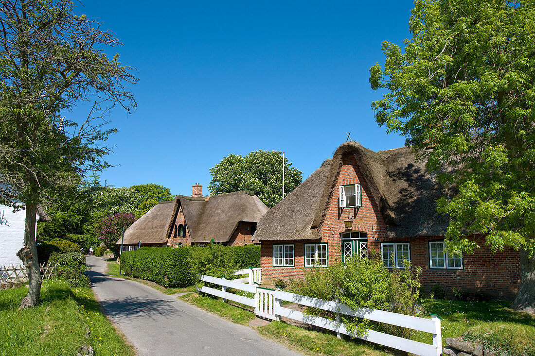 Friesenhaus, Keitum, Sylt, Nordfriesland, Schleswig-Holstein, Deutschland