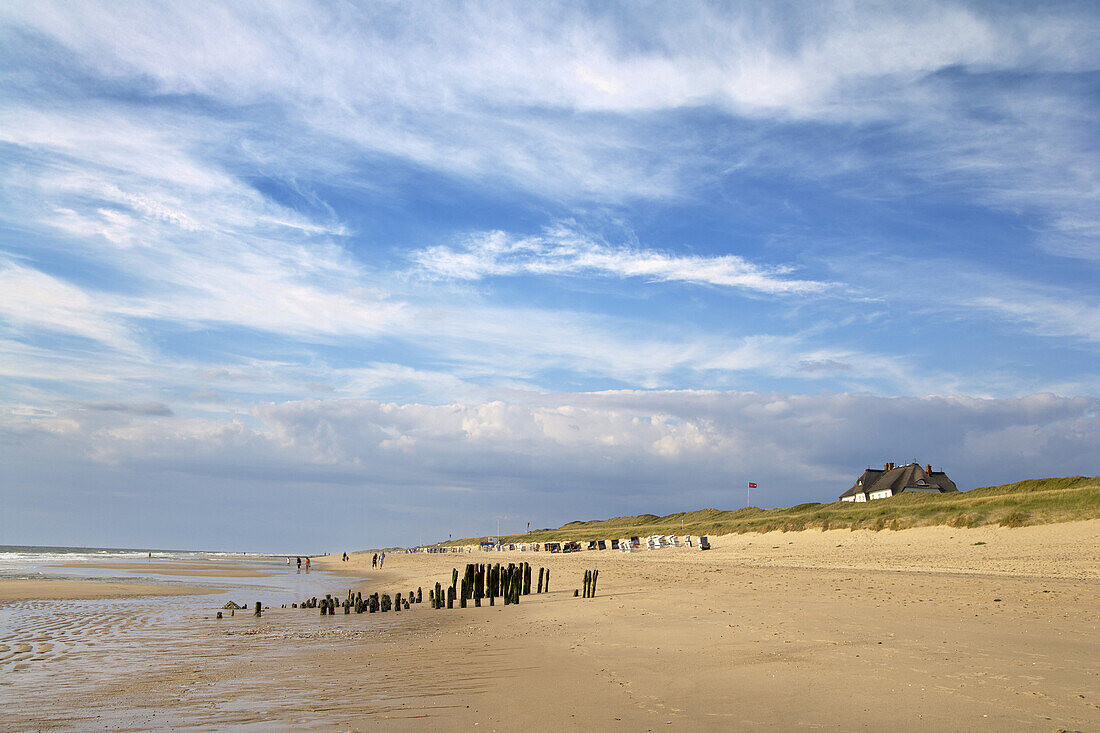 Buhnen am Strand, Rantum, Sylt, Schleswig-Holstein, Deutschland