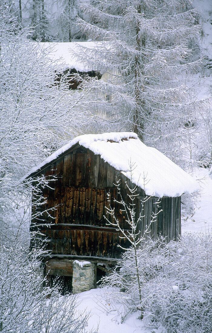 Snow-covered barn near Scuol, Lower Engadine, Engadine, Grisons, Switzerland
