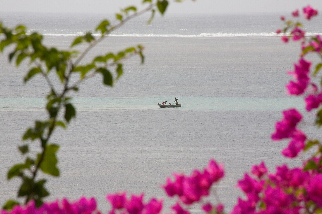 Bougainvillea und Fischerboot auf dem Indischen Ozean, Mombasa, Kenia, Afrika