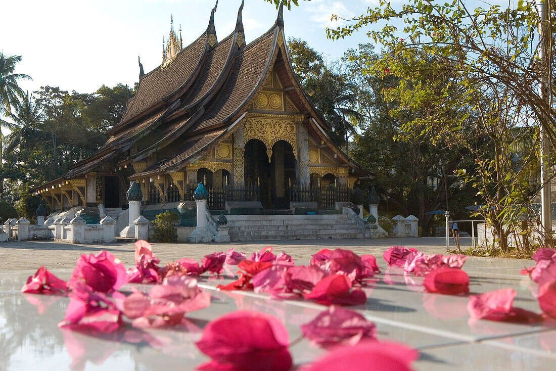 Blossoms in front of Sim of Vat Xieng Thong in Luang Prabang, Laos
